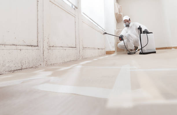 Black mold remediation team in Chapel Hill